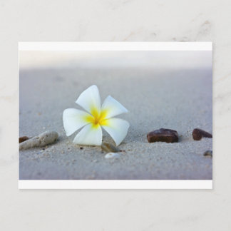 Flower på strand vykort