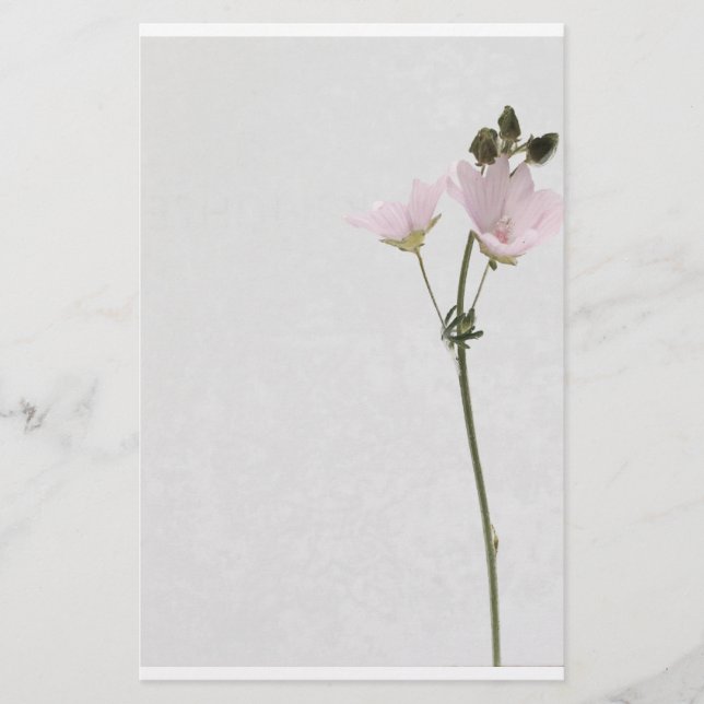 flower paper brevpapper (Framsida)