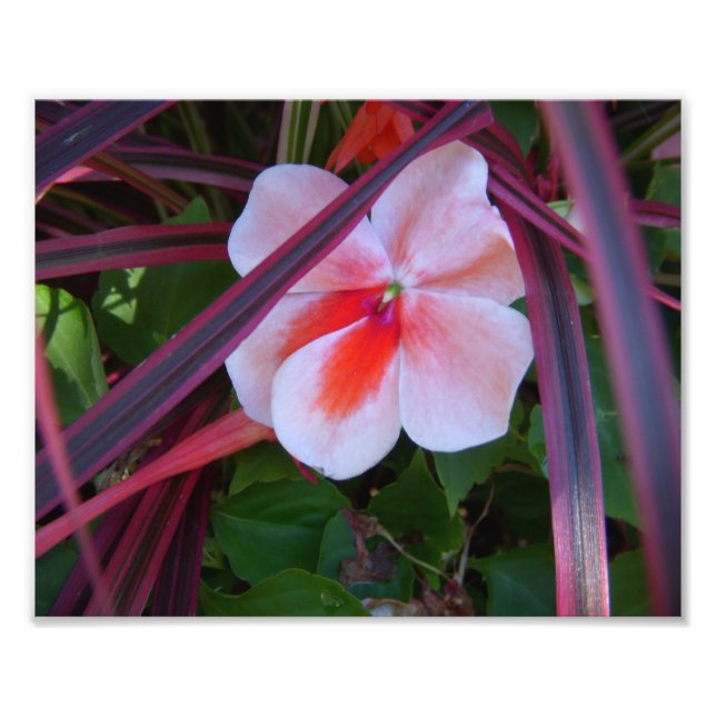 Flower Photo Fototryck (Framsidan)