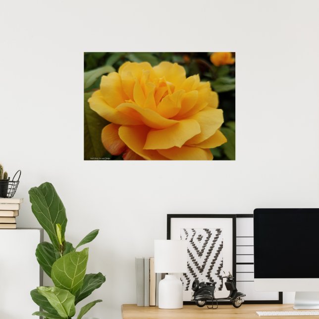 Flower Photo Golden Gul ros Blommar Poster (Hemmakontoret)
