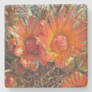 Flower Photo with Bees Bright Orange Cactus Blooms Stenunderlägg