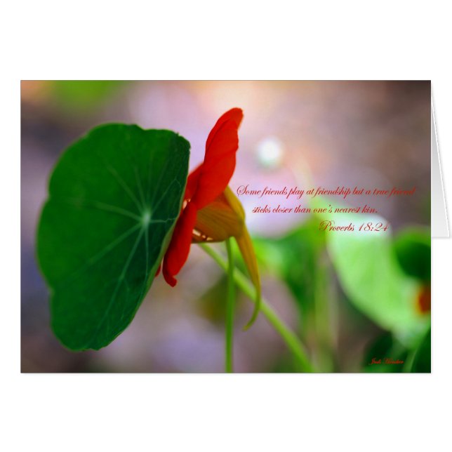 Flower & Plant lean på varandra. Hälsningskort (Framsidan Horizontal)