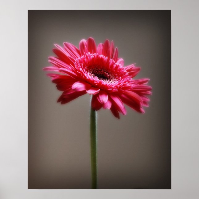 Flower Poster (Framsidan)