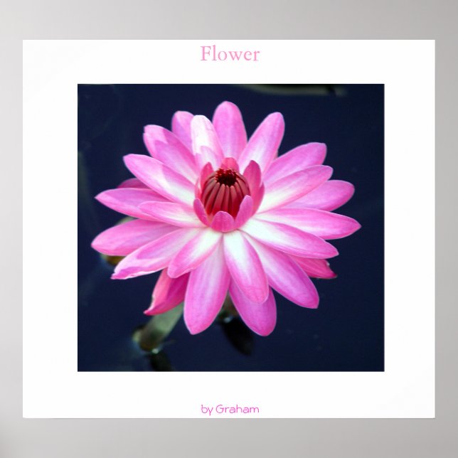 Flower Poster (Framsidan)