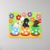 Flower Pot Labrador Puppies
