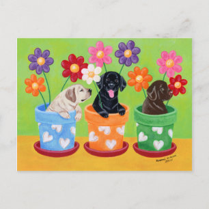 Flower Pot Labrador Puppies Vykort
