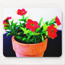 Flower Pot Musmatta