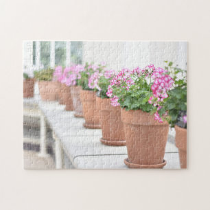 Flower Pots Greenhouse Kew Gardens London Storbrit Pussel