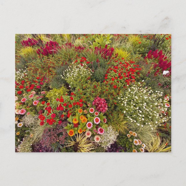 Flower Power - 10 Vykort (Framsida)