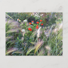 Flower Power - 13 Vykort