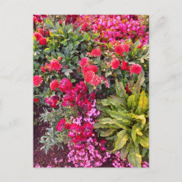 Flower Power - 14 Vykort