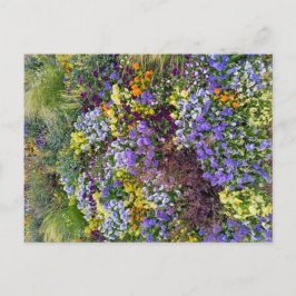 Flower Power - 1 Vykort