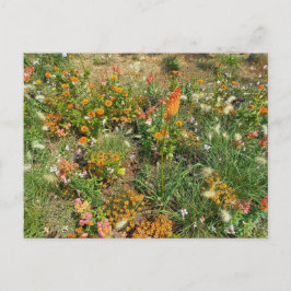 Flower Power - 2 Vykort