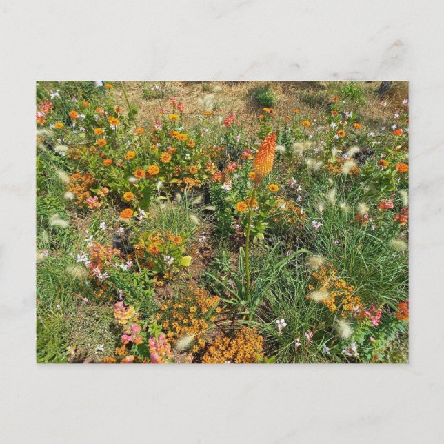 Flower Power - 2 Vykort (Framsida)