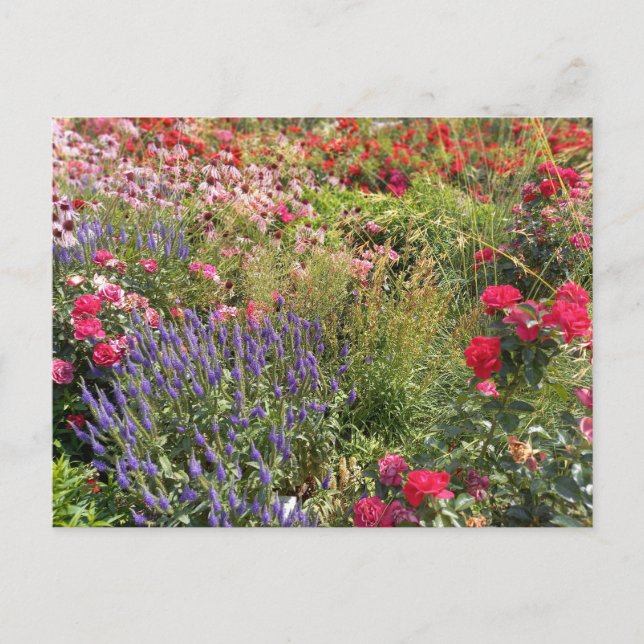 Flower Power - 3 Vykort (Framsida)