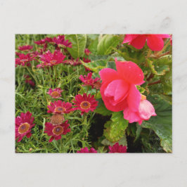 Flower Power - 9 Vykort