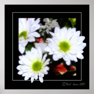 Flower power poster