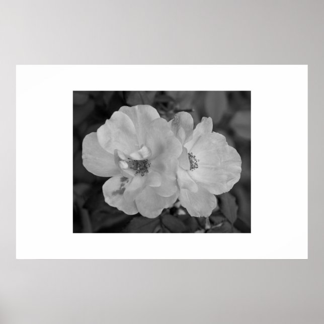 Flower Print Poster (Framsidan)