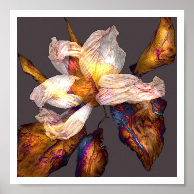 Flower Sång Poster (Framsidan)