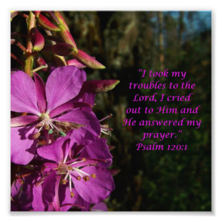 Flower Scripture Psalm 120:1 Photo Print Fototryck