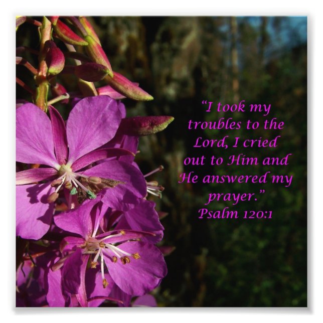 Flower Scripture Psalm 120:1 Photo Print Fototryck (Framsidan)