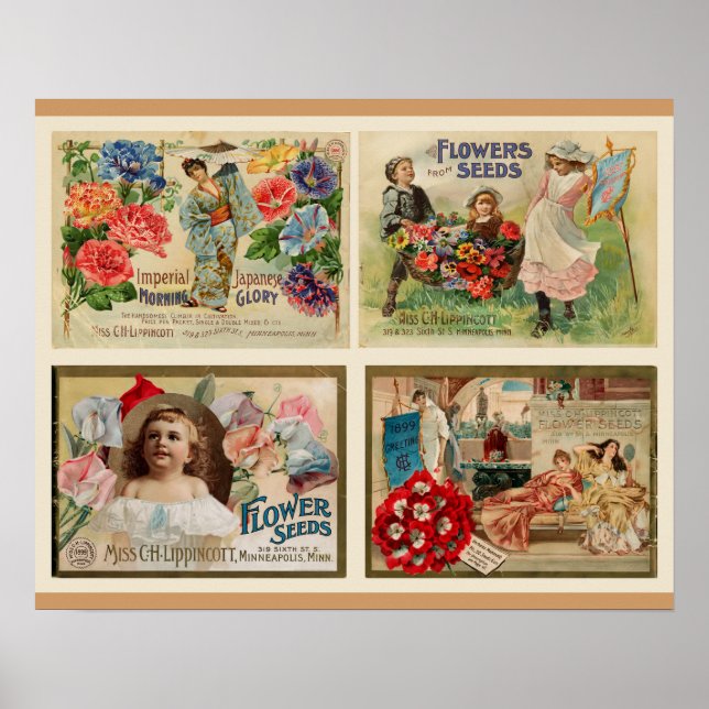 Flower Seeds Vintage Collage Poster (Framsidan)