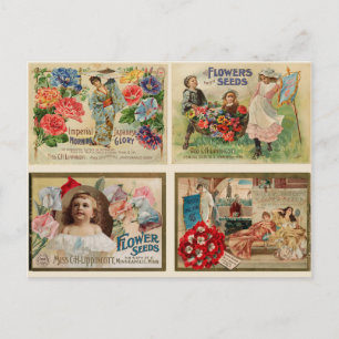 Flower Seeds Vintage Collage Vykort