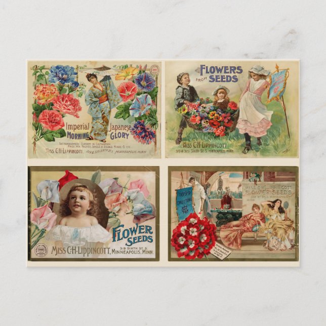 Flower Seeds Vintage Collage Vykort (Framsida)