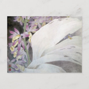 Flower Seires II- Phaiuses Vykort