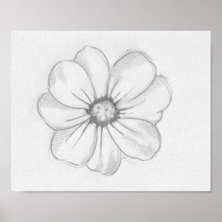 Flower Sketch Poster