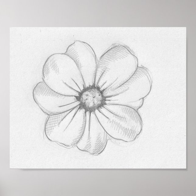 Flower Sketch Poster (Framsidan)