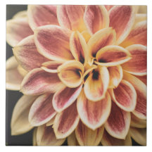 Flower (Söt Blommigt Art.)