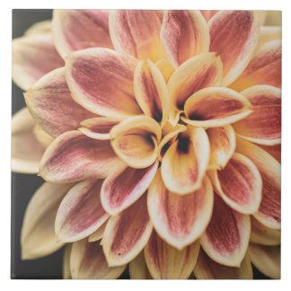 Flower (Söt Blommigt Art.) Kakelplatta