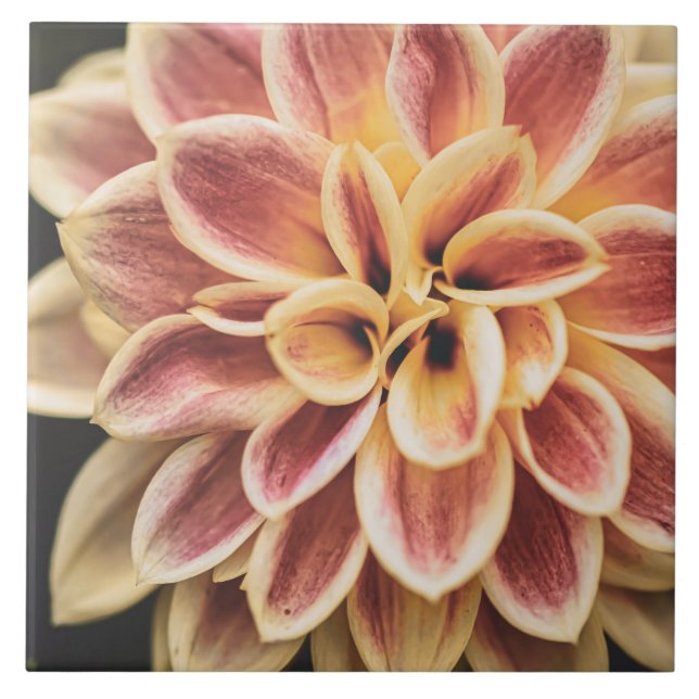Flower (Söt Blommigt Art.) Kakelplatta (Framsidan)