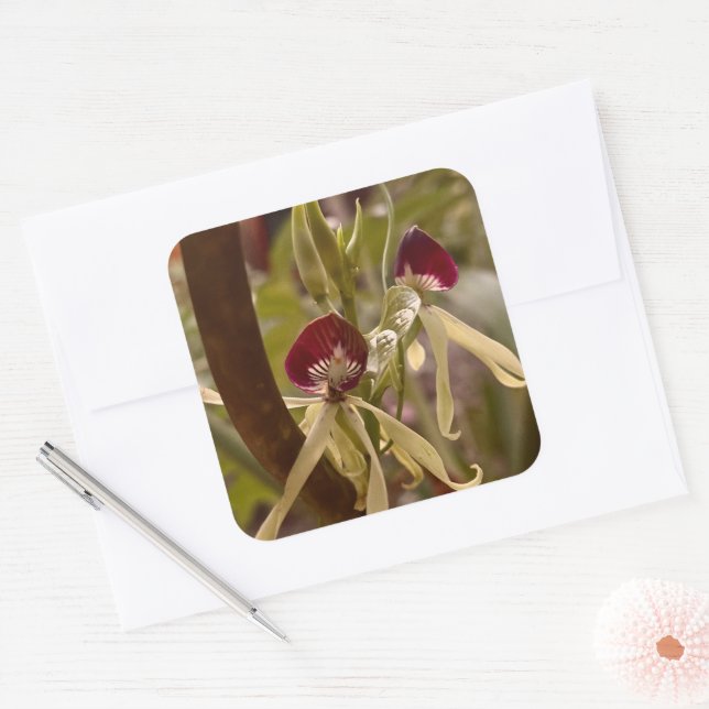 Flower Sticker Fyrkantigt Klistermärke (Kuvert)