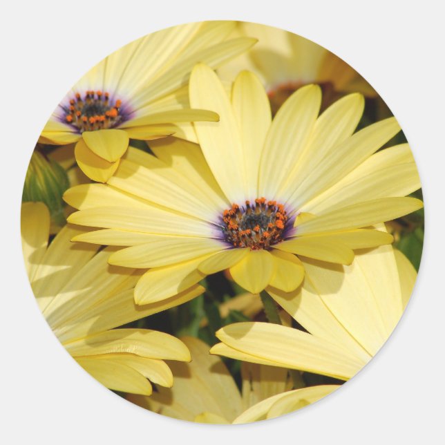 Flower Sticker Runt Klistermärke (Framsida)
