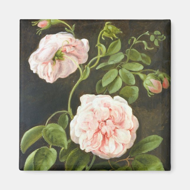 Flower Study Magnet (Framsidan)