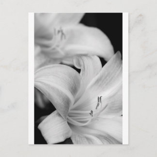 Flower Vykort