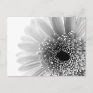 Flower Vykort