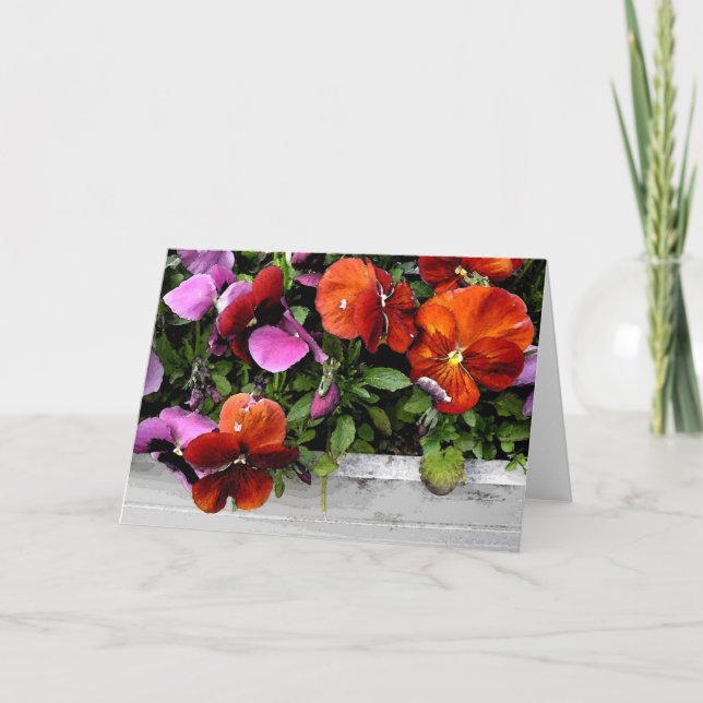 Flowerbox av Pansies Kort (Framsida)