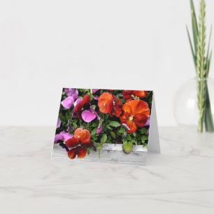 Flowerbox av Pansies Kort