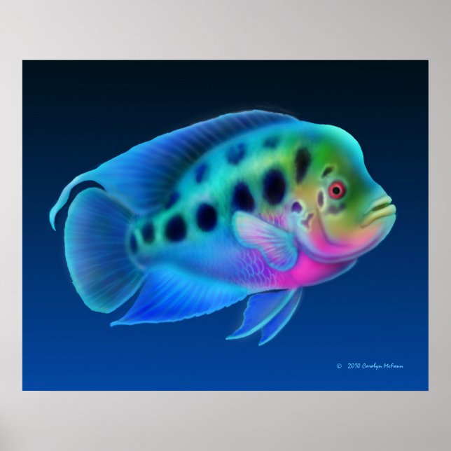 Flowerhorn Cichlid Fish Skriv ut Poster (Framsidan)