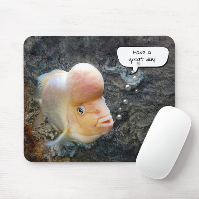Flowerhorn Fish with Tal Bubble Musmatta (Med mus)