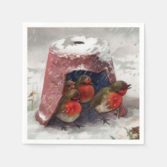 Flowerpot Shelter for English Robins Pappersservett (Framsidan)