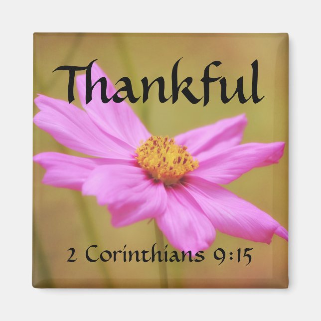 Flowers 2 Corinthians Cosmos Magnet (Framsidan)