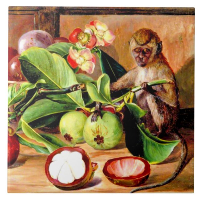 Flowers and fruit of Mangosteen; Singapore Monkey Kakelplatta (Framsidan)