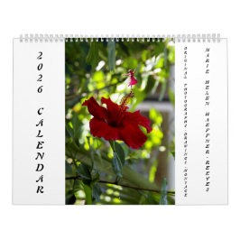 FLOWERS AND SHADOW FAIRIES 2026 CALENDAR KALENDER