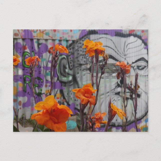 Flowers and Street Art in Valparaiso, Chile Vykort (Framsida)