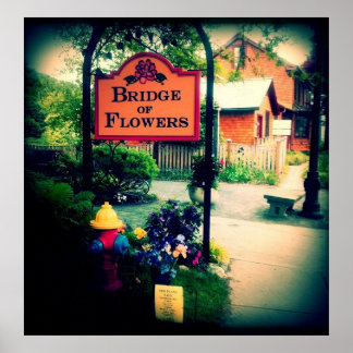 Flowers bro poster