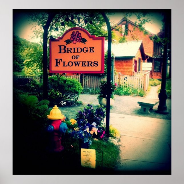 Flowers bro poster (Framsidan)